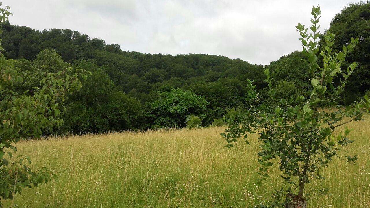 Ferienwohnungen "Am Fuerstenweg" Neuwied Exterior photo